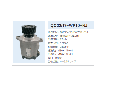 QC22/17-WP10-NJ,转向助力泵,济南泉达汽配有限公司