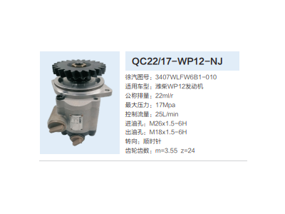 QC22/17-WP12-NJ,转向助力泵,济南泉达汽配有限公司