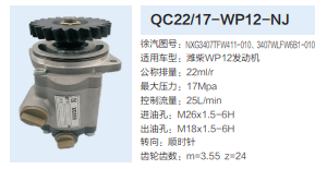 QC22/17-WP12-NJ,转向助力泵,济南泉达汽配有限公司