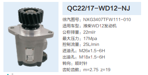 QC22/17-WD12-NJ,转向助力泵,济南泉达汽配有限公司