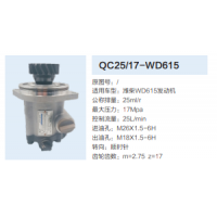 合肥力威天力转向齿轮泵动力转向泵助力泵液压泵