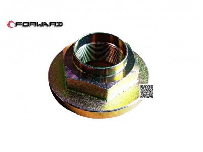 L903033300 输出轴凸缘螺母,Output shaft flange nut,济南向前汽车配件有限公司