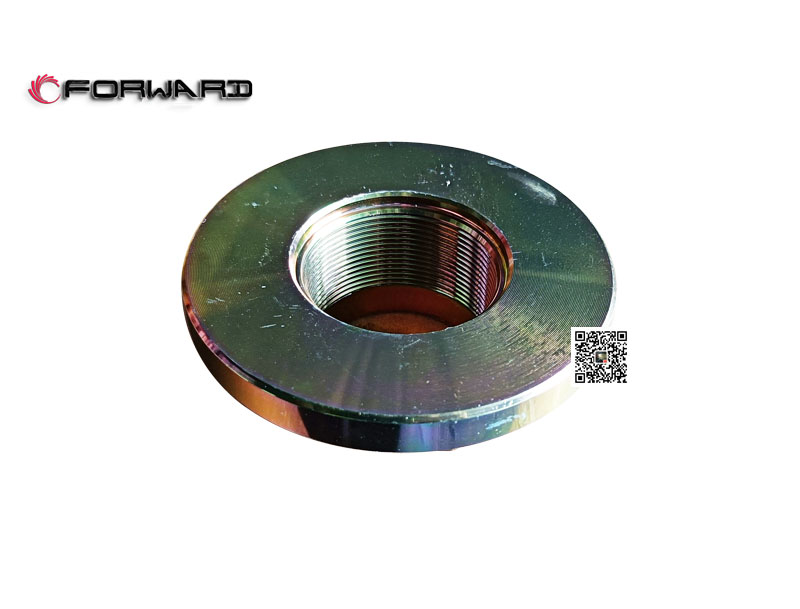 L903033300 输出轴凸缘螺母,Output shaft flange nut,济南向前汽车配件有限公司