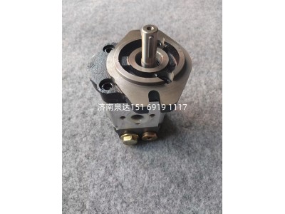 HLCB-D316,转向助力泵,济南泉达汽配有限公司
