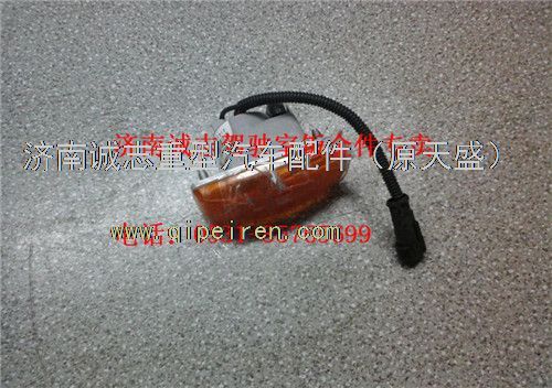 WG9925720013/WG9925720012,,济南诚志重型汽车驾驶室钣金件专卖