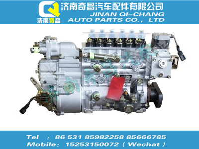 vg1096080130,C7B配件 C7B喷油泵总成,济南奇昌汽车配件有限公司