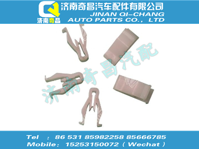 az1642160137,SITRAK配件塑料卡扣（5310381）,济南奇昌汽车配件有限公司