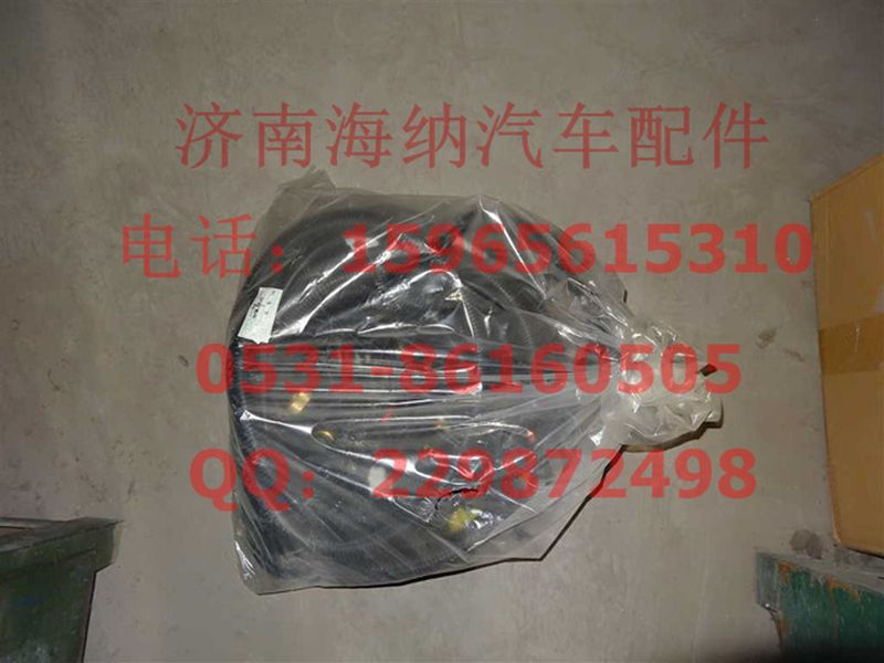 AZ9918771203,底盘线束(S32HW桥),济南海纳汽配有限公司