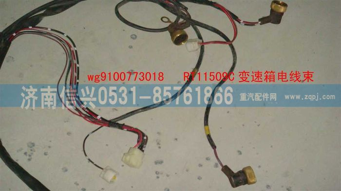 WG9100773018,RT11509变速箱线束,济南信兴汽车配件贸易有限公司