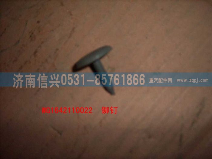 WG1642110022,WG1642110022A立柱固定用塑料铆钉(HOWO),济南信兴汽车配件贸易有限公司