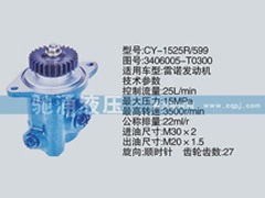 3406005-T0300,雷诺系列转向泵,济南驰涌贸易有限公司