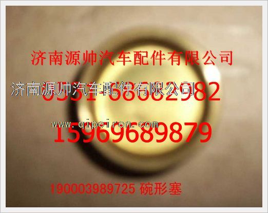 190003989725,重汽豪沃碗形塞片黄铜190003989725,济南源帅汽车配件有限公司