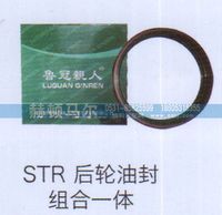 ,STR后轮油封组合一体,山东赫顿马尔国际贸易有限公司