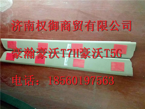 810W62930-0171,重汽新斯太尔左右仪表面罩组件WG1682167010WG1682168227,济南权御进出口有限公司