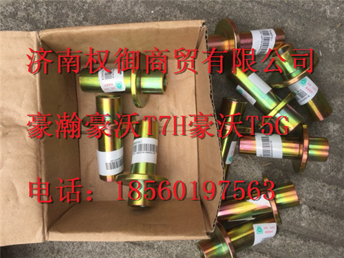 AZ1664430061,重汽新斯太尔左右仪表面罩组件WG1682167010WG1682167824,济南权御进出口有限公司