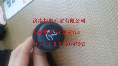 WG9725584011,重汽新斯太尔左右仪表面罩组件WG1682167010WG1682167370,济南权御进出口有限公司