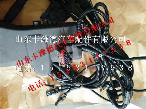 810W28230-6110,重汽曼MC07发动机线束,山东卡潍德汽车配件有限公司