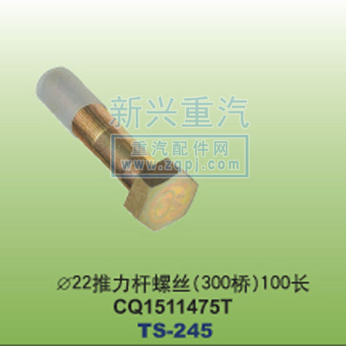 CQ1511475T,￠22推力杆螺丝300桥100长CQ1511475T,晋江新兴螺丝有限公司